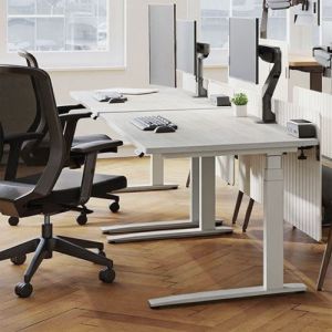 Ergovida Motorized Sit-Stand Desk 1500mm x 750mm Lightwood/White EED-623D