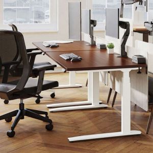 Ergovida Motorized Sit-Stand Desk 1500mm x 750mm Walnut/White EED-623D