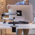 Ergotron LX Desk Monitor Arm Polished Aluminum 45-241-026