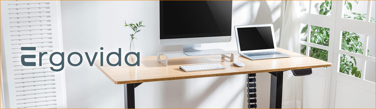 Ergovida Furniture from Tammex